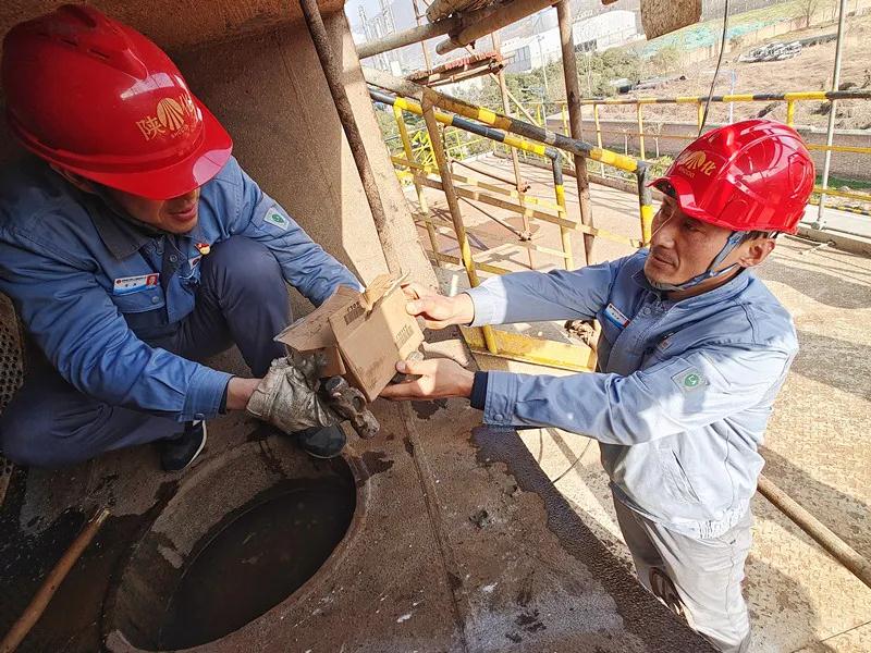 1616491685366236.jpeg 1616491685366236.jpeg