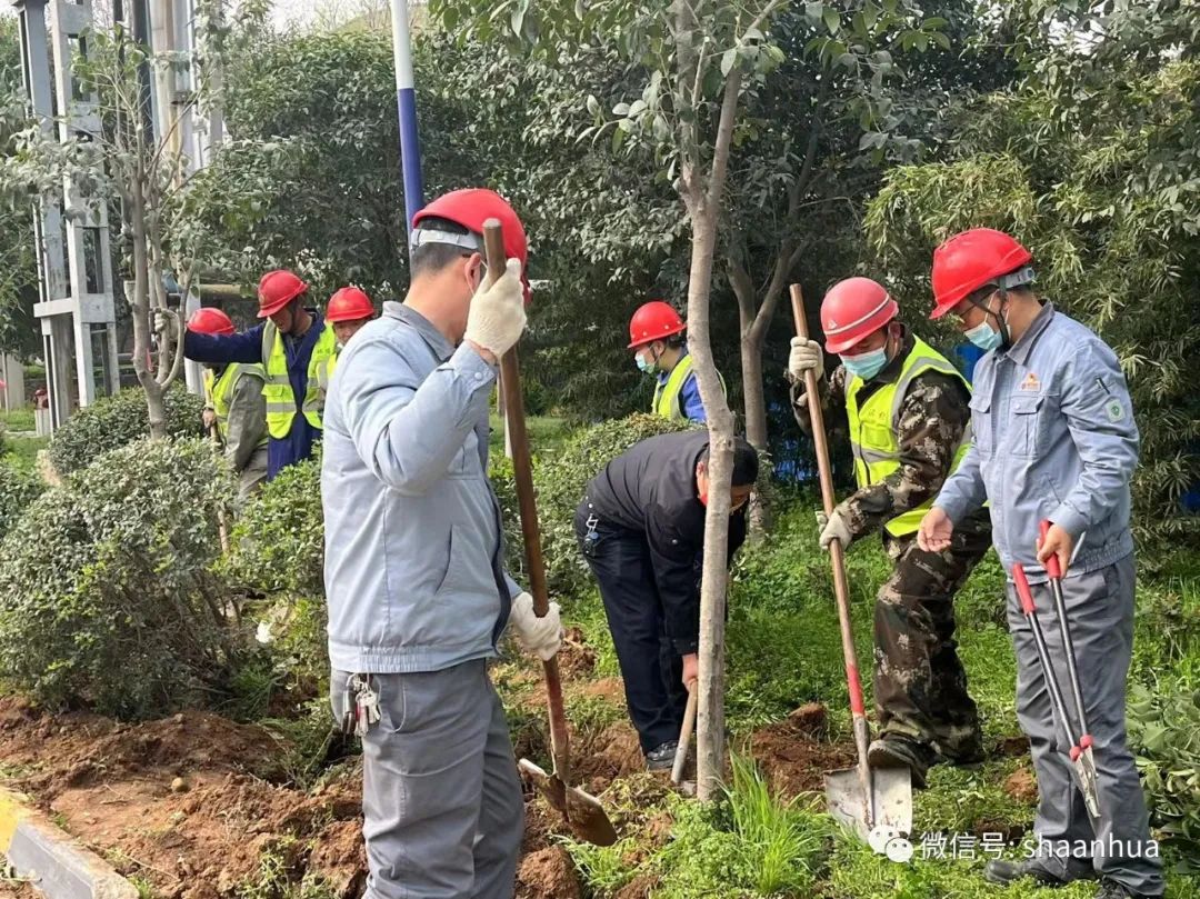 1648464805655150.jpeg 1648464805655150.jpeg