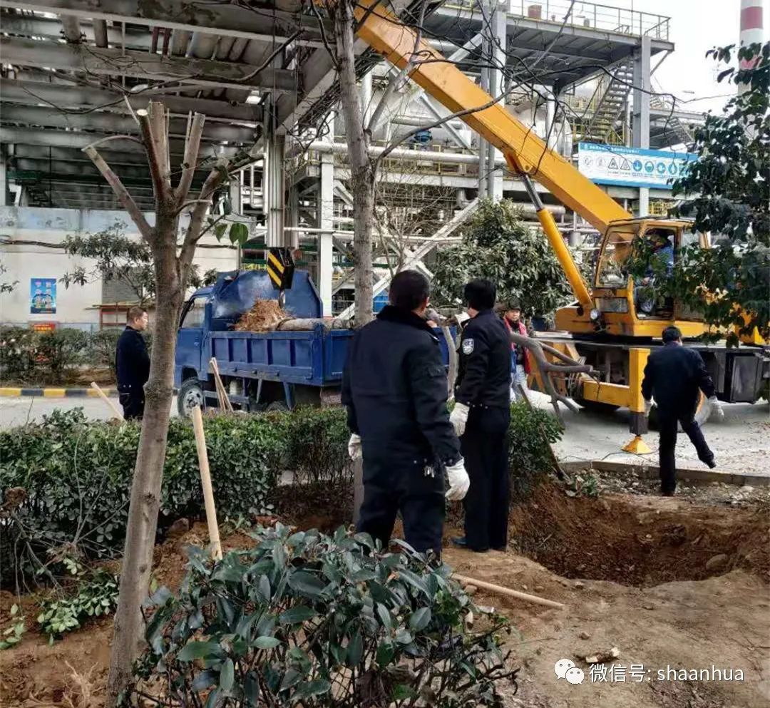 1648464816176999.jpeg 1648464816176999.jpeg