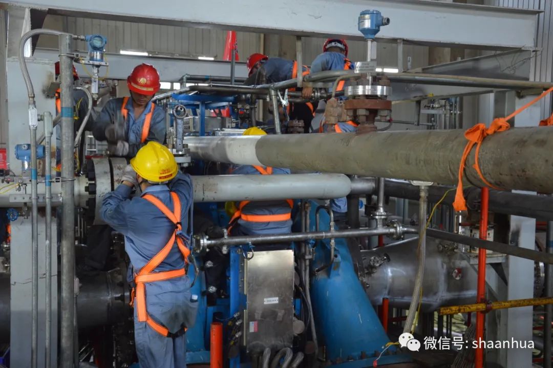 1656677782927809.jpeg 1656677782927809.jpeg