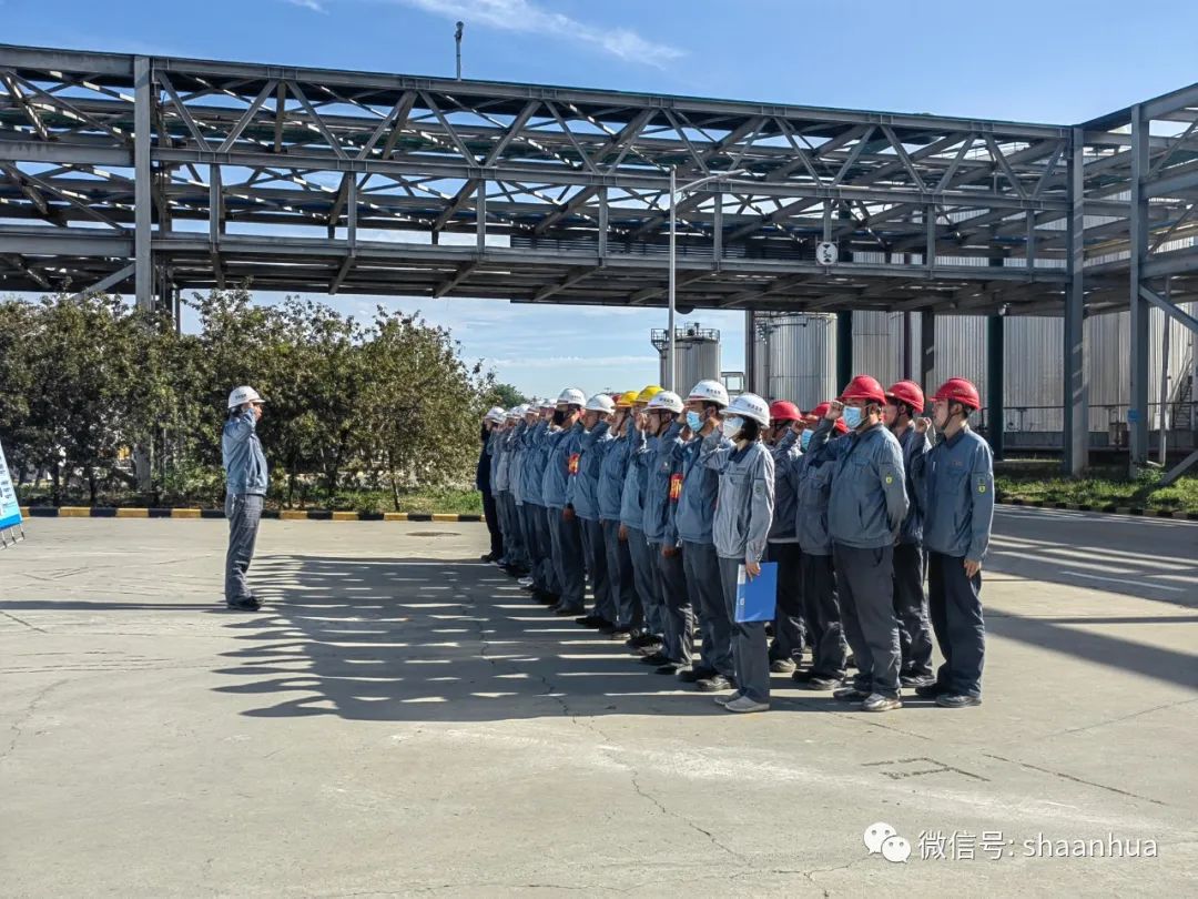 1656677832509936.jpeg 1656677832509936.jpeg