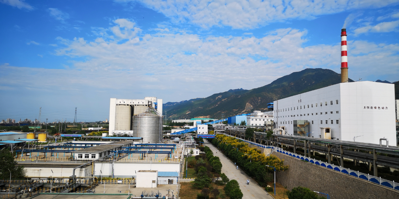 1699265734303854.jpeg 1699265734303854.jpeg