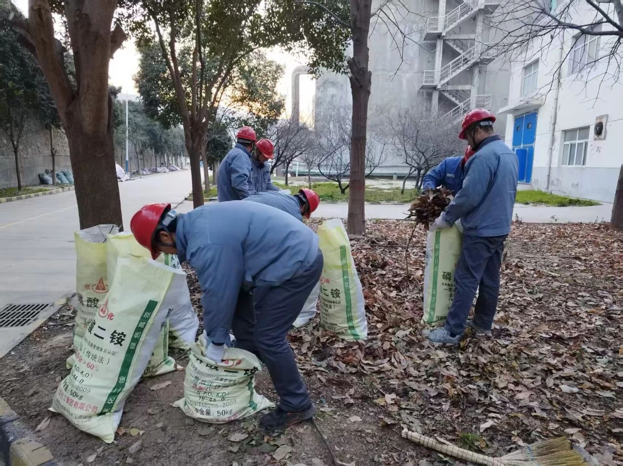 1738723384475138.jpeg 1738723384475138.jpeg