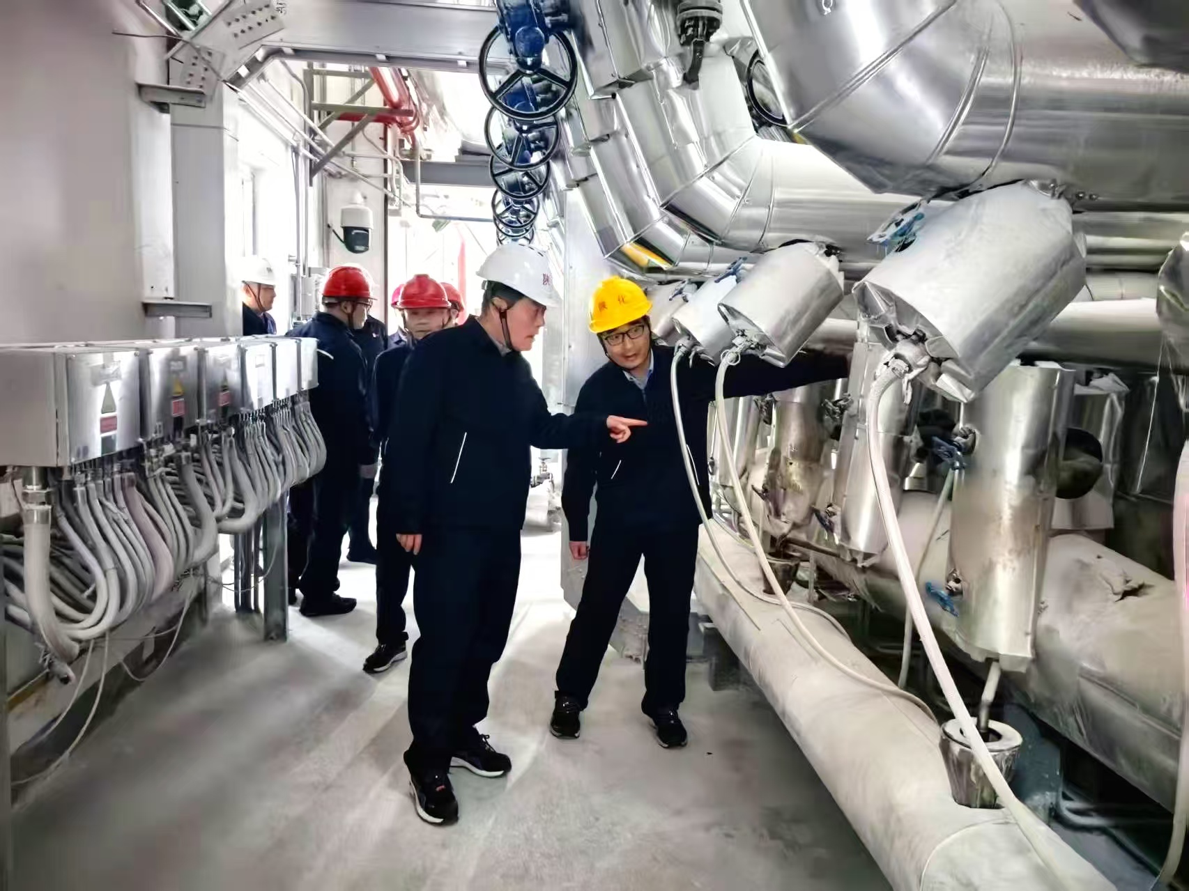 1762310138637414.jpeg 1762310138637414.jpeg